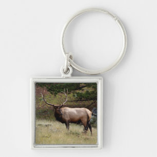 Porte-clés Elk dans le désert