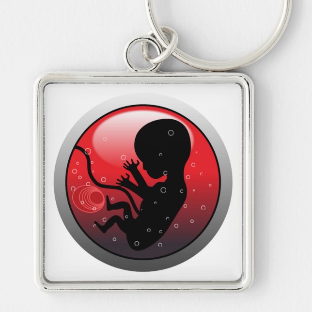 PORTE-CLÉS EMBRYO BÉBÉ HUMAIN (Devant)