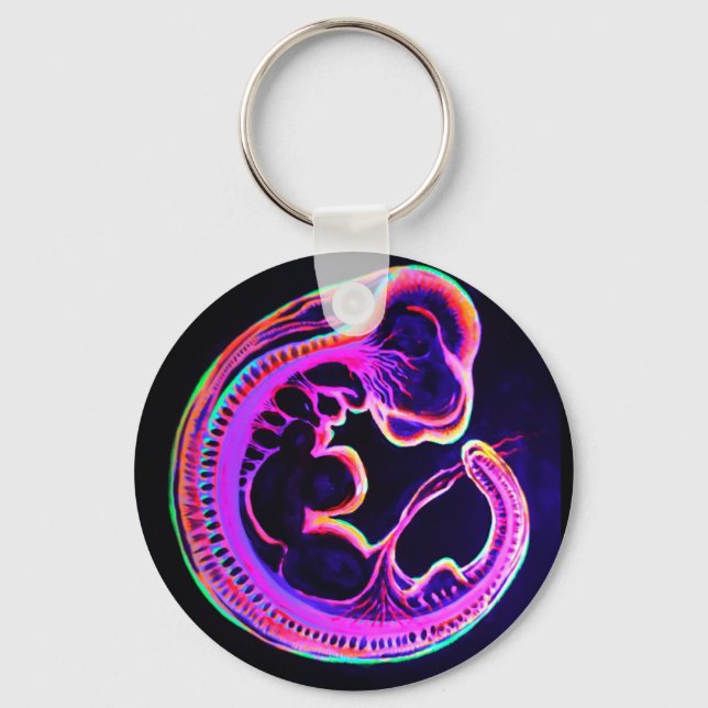 Porte-clés embryon fluorescent brillant dans l'obscurité (Recto)