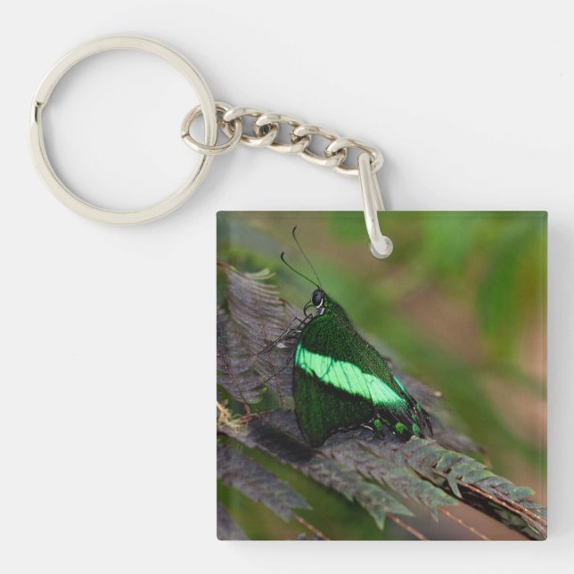 Porte-clés Emerald Swallowtail (Devant)