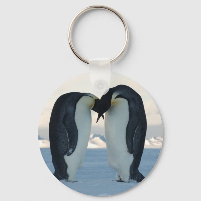 Porte-clés Emperor Penguin Courtship (Recto)