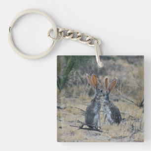 Porte-clés en acrylique Jackrabbits