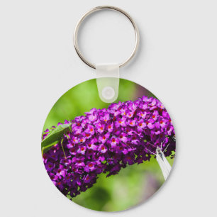 Porte-clés énergie katydone