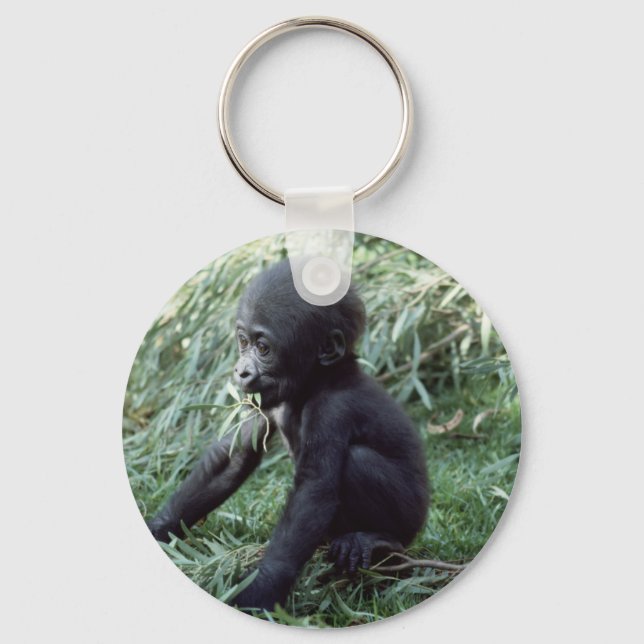 Porte-clés Ensemble faunique - Primates 8 (Recto)