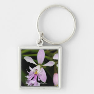 Porte-clés Epidendrum caligarium