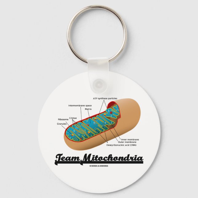Porte-clés Équipe Mitochondria (Humour Mitochondrion) (Recto)