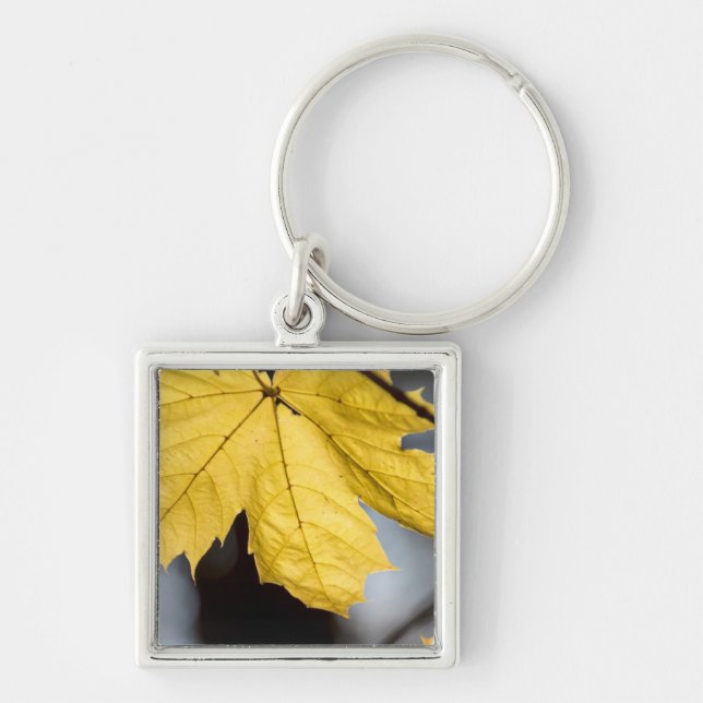 Porte-clés Érable à sucre, automne (Devant)