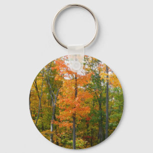 Porte-clés Érables en automne Photographie de la nature