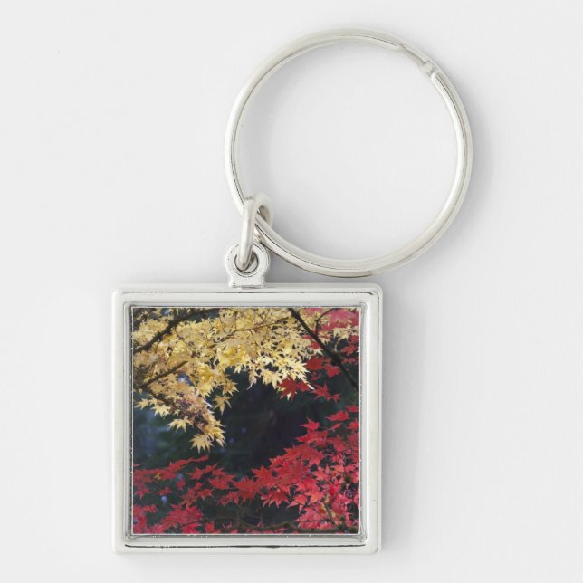 Porte-clés Érables en couleur d'automne (Devant)