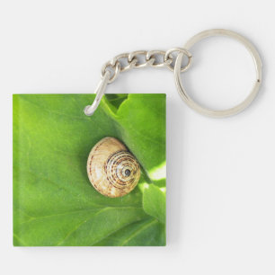 Porte-clés Escargot
