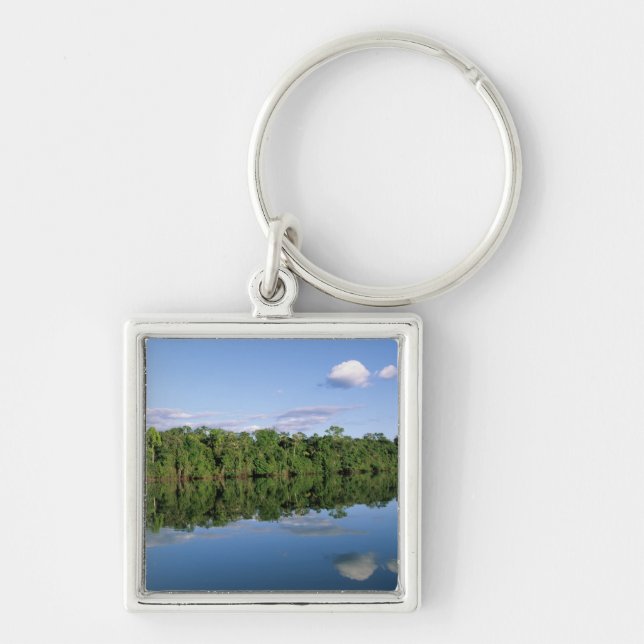 Porte-clés État du Mato Grosso, Amazonie, Brésil. Forêt (Devant)