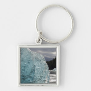 Porte-clés États-Unis, Alaska, Forêt nationale de Tongass, Tr