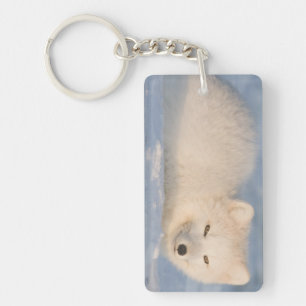 Porte-clés États-Unis, Alaska, Fox