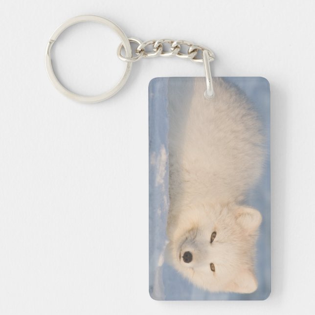 Porte-clés États-Unis, Alaska, Fox (Devant)