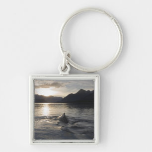 Porte-clés États-Unis, Alaska, Glacier Bay National Park,