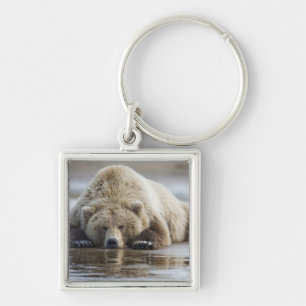 Porte-clés États-Unis, Alaska, Parc national de Katmai, Ours