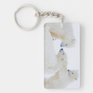 Porte-clés États-Unis, Alaska, plaine côtière de l'Arctique 1