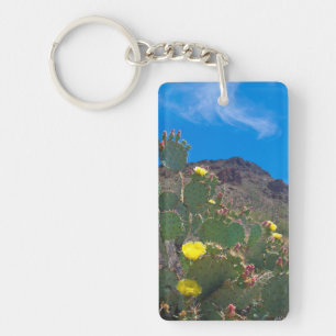 Porte-clés États-Unis, Arizona. Cactus dans les collines