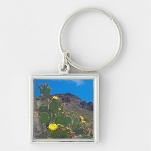 Porte-clés États-Unis, Arizona. Cactus dans les collines