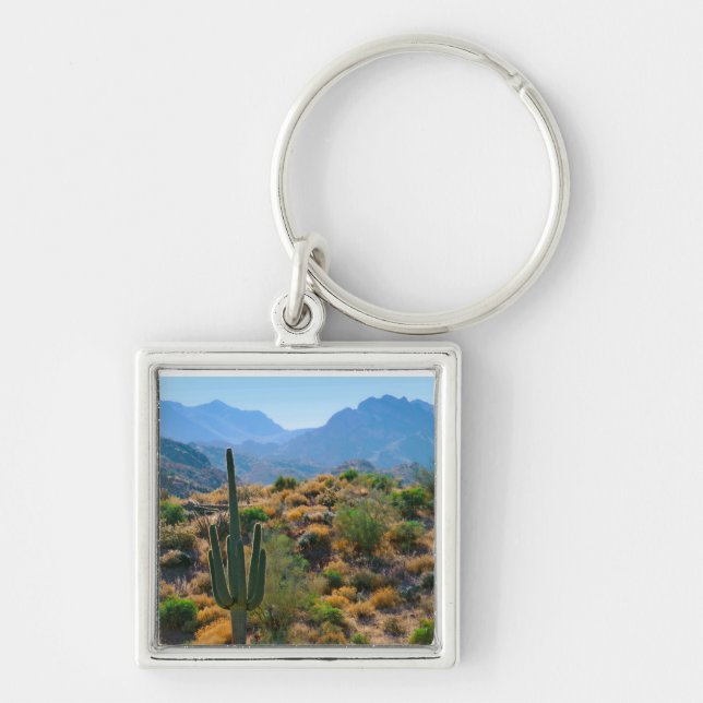 Porte-clés États-Unis, Arizona. Desert View (Devant)