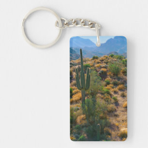 Porte-clés États-Unis, Arizona. Desert View