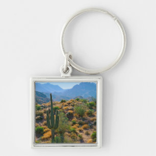 Porte-clés États-Unis, Arizona. Desert View