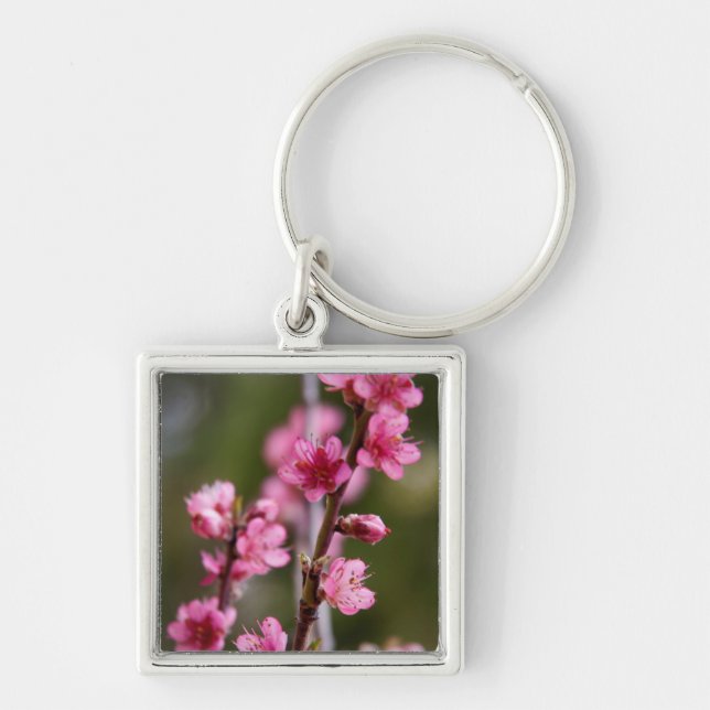 Porte-clés États-Unis, Californie. Les Fleurs Roses Sur Un Ar (Devant)