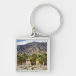 Porte-clés États-Unis, Californie, parc d'État du désert d'An