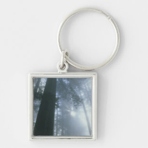 Porte-clés États-Unis, Californie, Parc national de Redwood,
