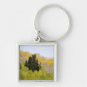 Porte-clés États-Unis, Colorado, forêt nationale de Gunnison,