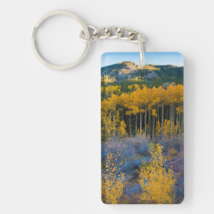 Porte-clés États-Unis, Colorado. Jaunes brillants peupliers t