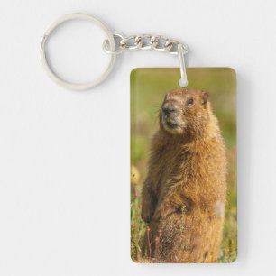 Porte-clés États-Unis, Colorado, Monts San Juan