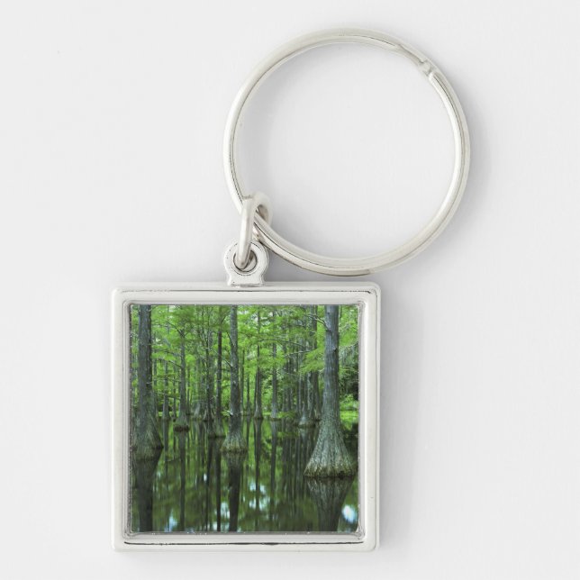 Porte-clés États-Unis, Floride, Forêt nationale d'Apalachicol (Devant)