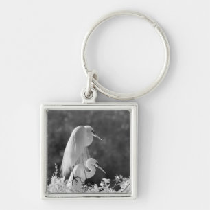 Porte-clés États-Unis, Floride, Grande Aigrette (Ardea alba)