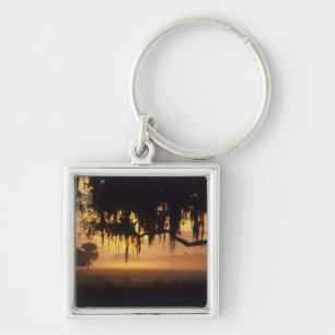 Porte-clés États-Unis, Floride, lac Kissimmee. Silhouette au