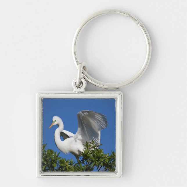 Porte-clés États-Unis, Floride, St. Augustine, Aigrette (Devant)