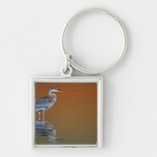 Porte-clés États-Unis, Floride, St. Petersburg, Fort De Soto