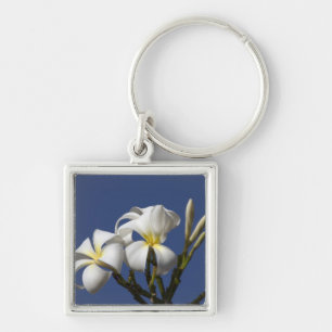 Porte-clés États-Unis, Hawaï, Kauai, plumeria blanc.