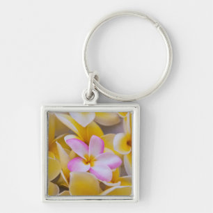 Porte-clés États-Unis, Hawaï, Oahu, fleurs de la plumeria en