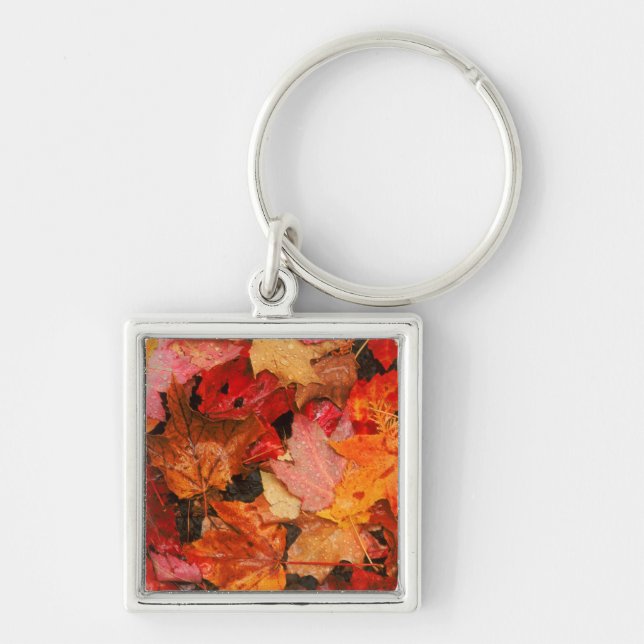 Porte-clés États-Unis, Maine. Feuilles d'érable d'automne (Devant)
