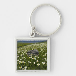 Porte-clés États-Unis, Montana, Marguerite sauvage en fleurs 