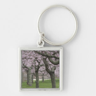 Porte-clés États-Unis, New York, East Hampton. Cerisiers en