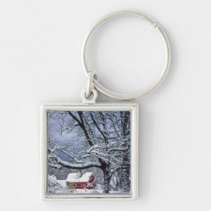 Porte-clés États-Unis, Oregon, comté de Clackamas. Neige fraî