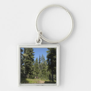 Porte-clés États-Unis, Oregon, Forêt nationale de Willamette,