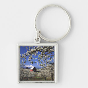 Porte-clés États-Unis, Oregon, Hood River Valley, Verger de p