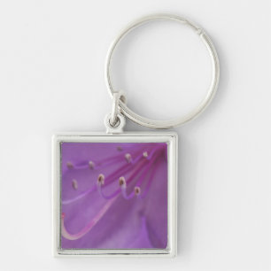 Porte-clés États-Unis, Oregon, Portland. Clôture d'un