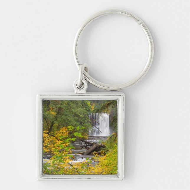 Porte-clés États-Unis, Oregon, Silver Falls State Park 2 (Devant)
