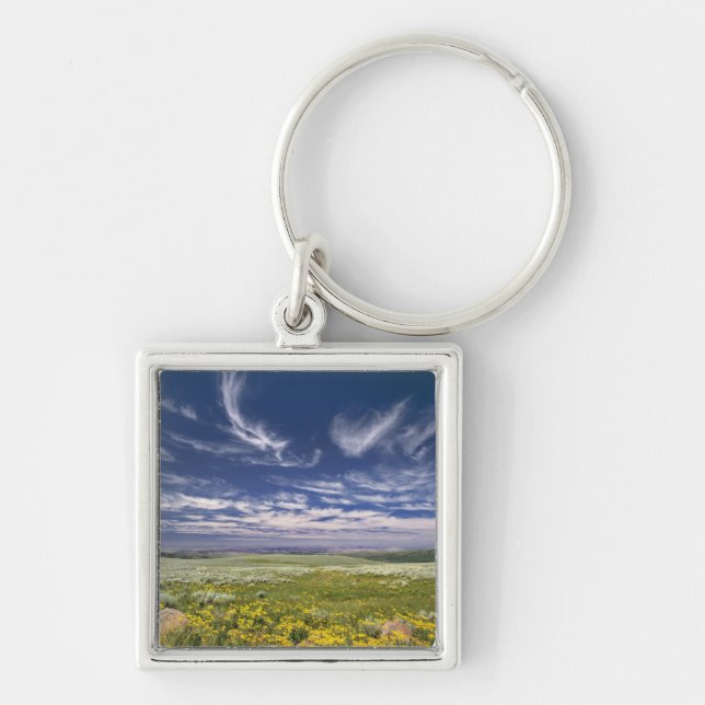 Porte-clés États-Unis, Oregon, Steens Mountain. Le printemps  (Devant)