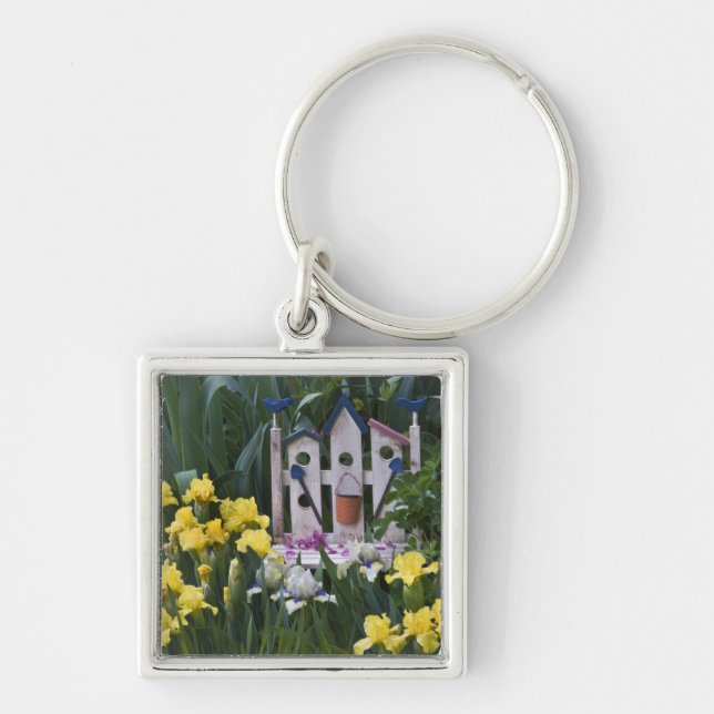 Porte-clés États-Unis, Pennsylvanie. Les iris de jardin pouss (Devant)