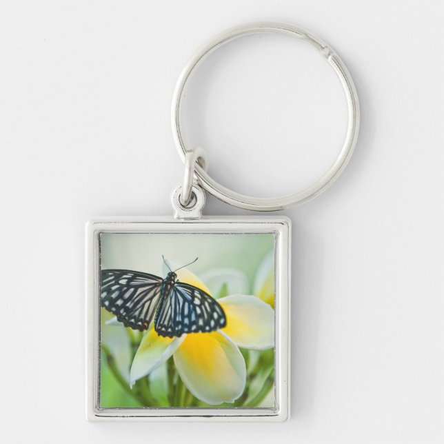 Porte-clés États-Unis, Pennsylvanie. Papillon swallowtail (Devant)